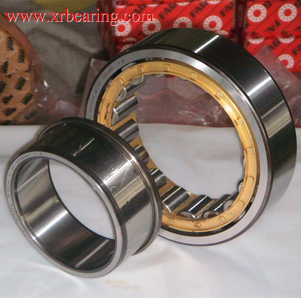 N313 ECM cylindrical roller bearing