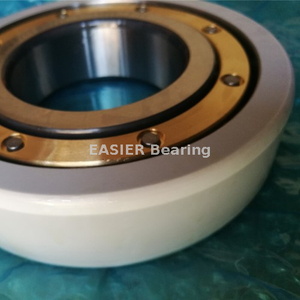 6016-M-J20AA Insulated Bearing