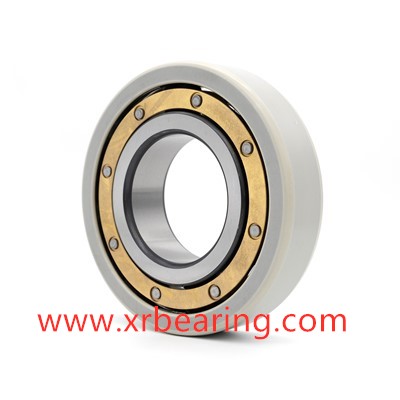 6322 M/C3VL0241 Insulated Bearings for Vfd Motors