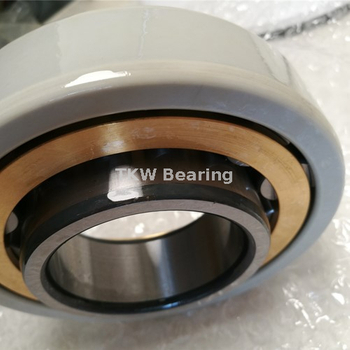 NU1013 ECP/C3VL0241 Ceramic Insulated Bearings