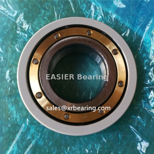 Insulated Bearing Electric Motors 6220/C3VL0241 