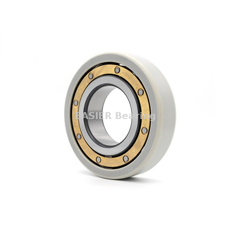 Electrically Insulated Bearings for Vfd Motors