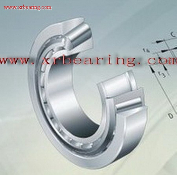 30205 tapered roller bearing