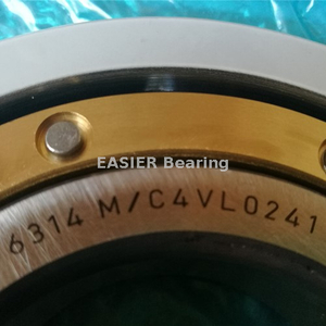 6216-J20AA-C3 Insulated Bearing